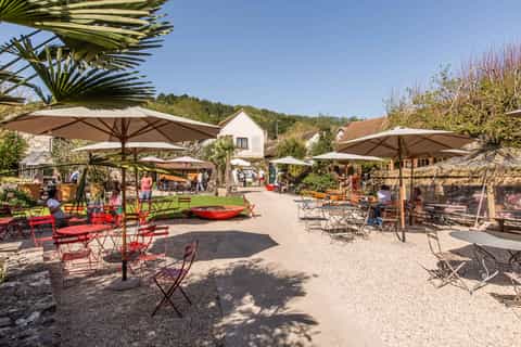 From Paris: Monet Impressionism Tour to Giverny by Minibus