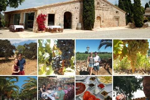 Mallorca: Private Weintour mit Proben und Picknick