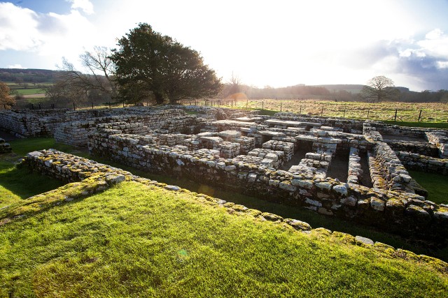 Visit Hadrian's Wall Chesters Roman Fort and Museum Entry Ticket in Hexham, Northumberland