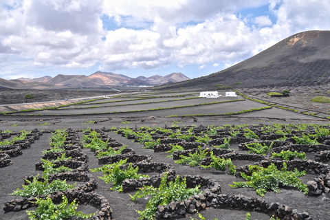 Timanfaya i El Golfo dla uczestników rejsu (poranki)