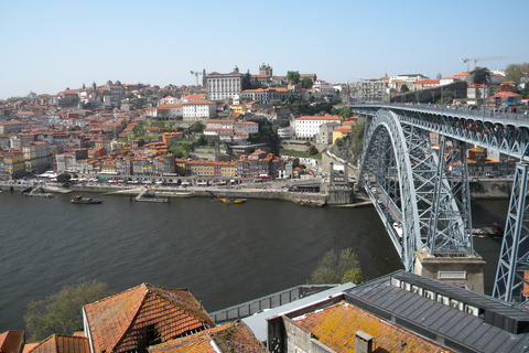 Porto: Private Half-Day as a Local Experience