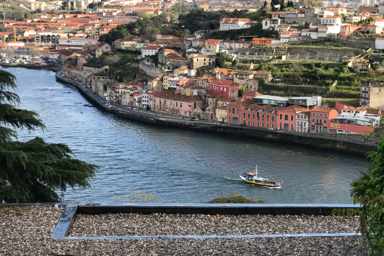 Porto: Private Half-Day as a Local Experience