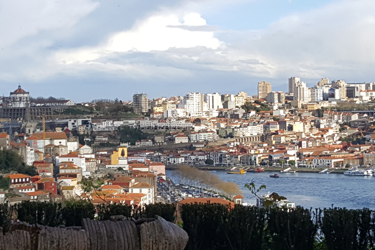 Porto: Private Half-Day as a Local Experience