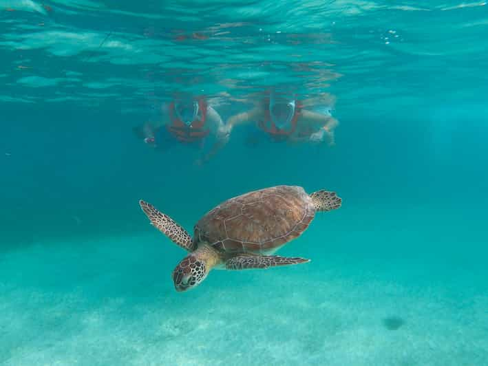 From Cancun & Riviera Maya: Tulum Ruins & Swim With Turtles | GetYourGuide