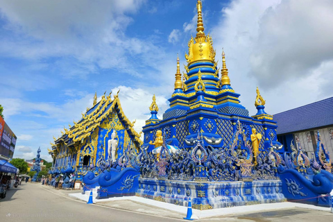 Chiang Mai: Chiang Rai Temples & Singha Park Day Trip
