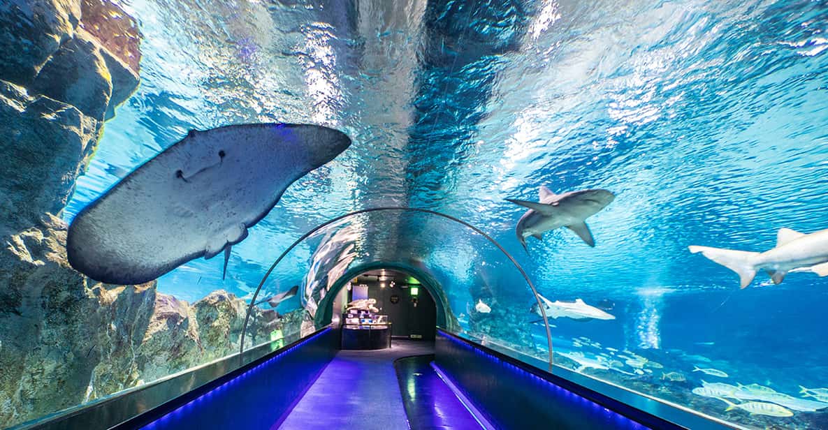 Seoul 2021 Top 10 Touren & Aktivitäten (mit Fotos) Erlebnisse in Seoul, Südkorea GetYourGuide