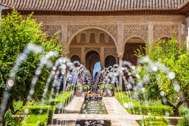Alhambra: Guided Tour with Fast-Track Entry Tour with Meeting Point