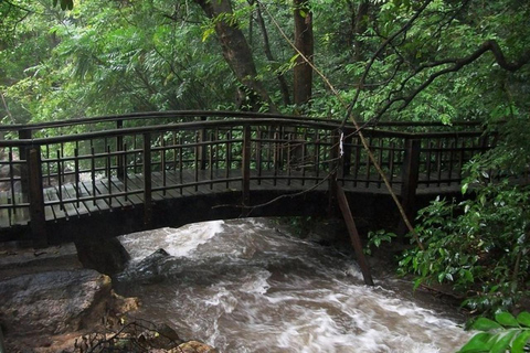 Golfe de Papagayo : Visite du volcan et de la jungle de Guanacaste