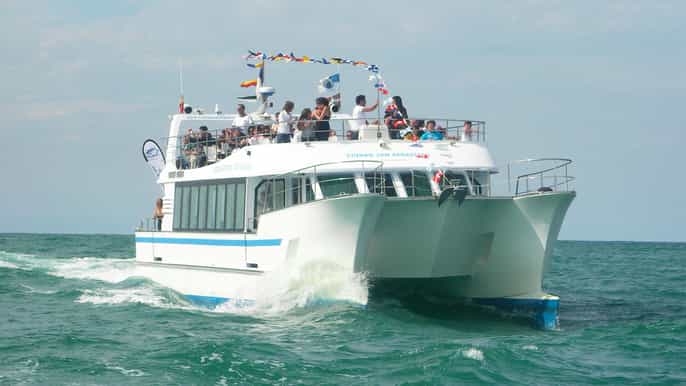 san sebastian sightseeing catamaran bay tour