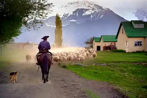 De El Calafate: Excursão à Estância Nibepo Aike