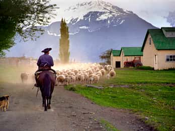 Tour zur Estancia Nibepo Aike ab El Calafate