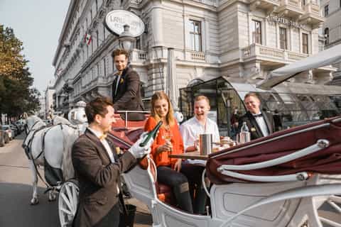 vienna culinary horsedrawn carriage experience