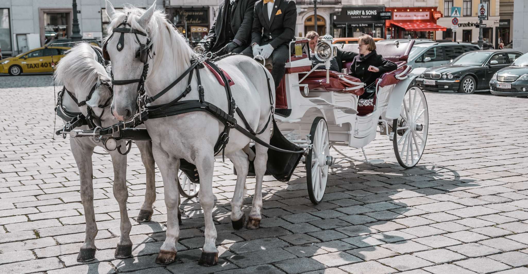 Wien, Kulinarisches Horse-Drawn Carriage-Erlebnis - Hizvo