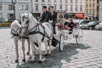 Wien, Kulinarisches Horse-Drawn Carriage-Erlebnis - Hizvo
