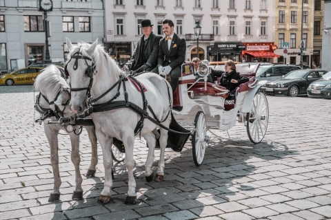 Viena: experiencia culinaria en carruajes tirados por caballosRecorrido por la ciudad de 60 minutos con una botella de vino espumoso