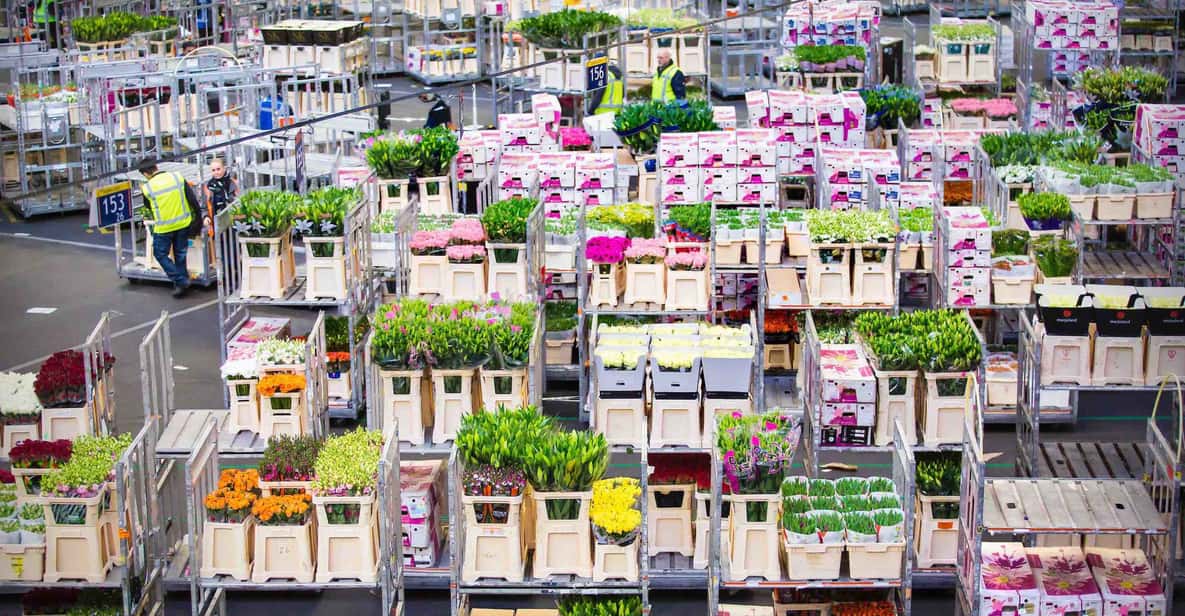 Amsterdam: Royal Flower Auction and Amsterdam Castle Tour