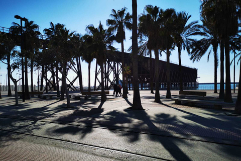 Almería: Geführte StadtentdeckungstourAlmería: Spanisch geführte Stadtentdeckungstour