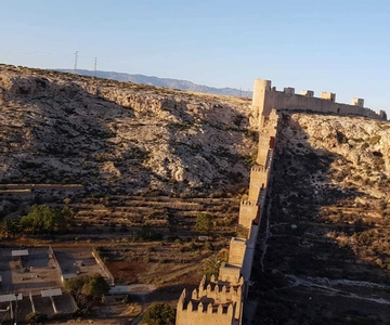 Alcazaba Guided Tour