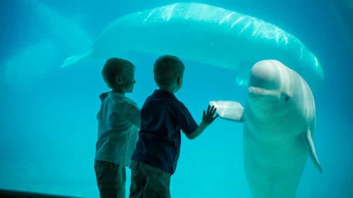 niagara falls marineland canada day pass