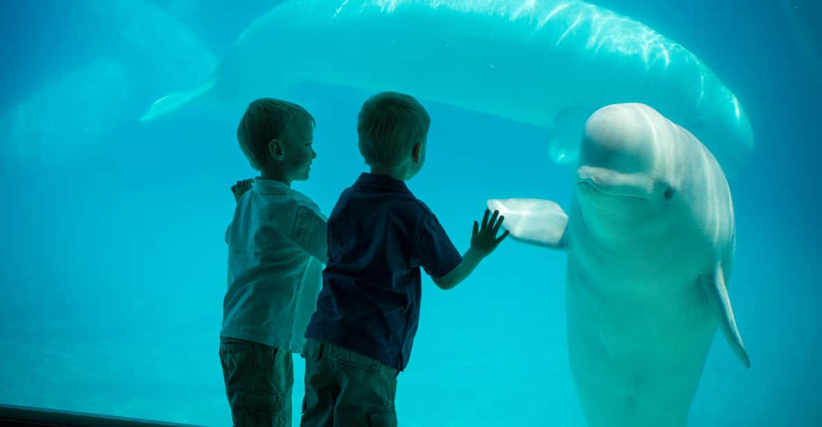 Cataratas del Niágara: pase diario de Marineland Canadá