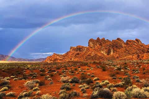 Las Vegas: Premium Valley of Fire Day Tour