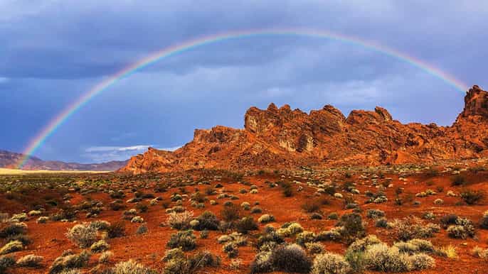 las vegas premium valley of fire day tour