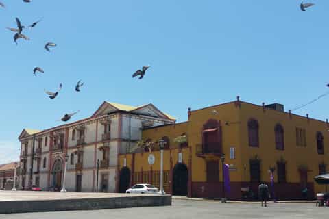 León: Private City Walking Tour
