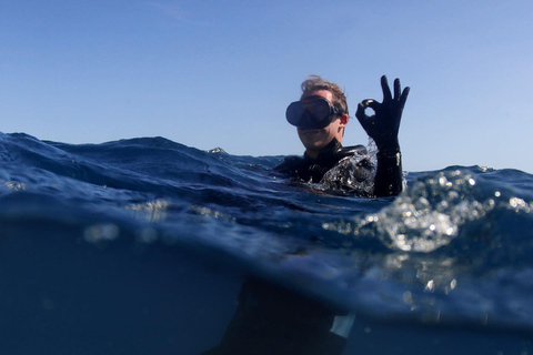 Lagos: Esperienza di immersione subacquea per principianti