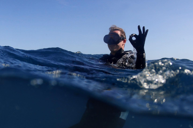 Lagos: Esperienza di immersione subacquea per principianti
