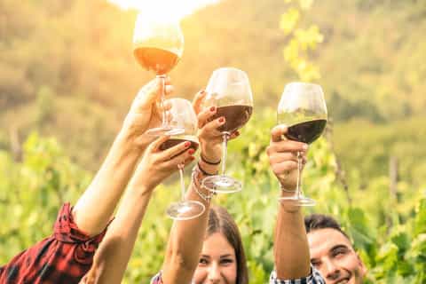 Queenstown: Adults-Only Boutique Wine Tour