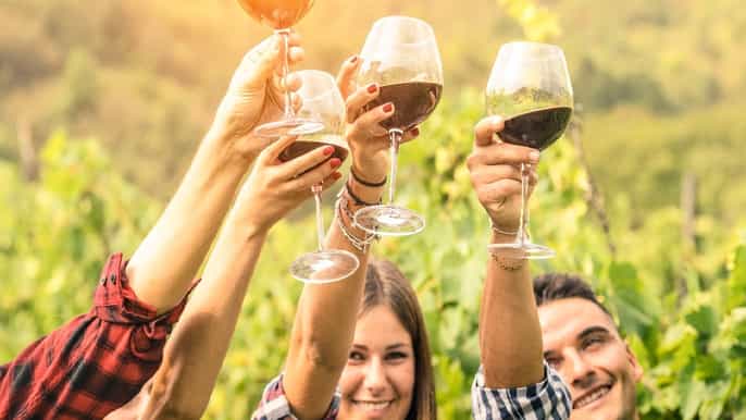 queenstown adultsonly boutique wine tour