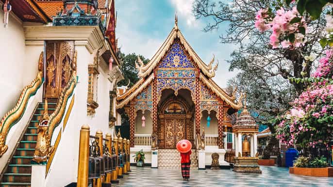 doi suthep wat umong wat pha lat sunrise smallgroup tour