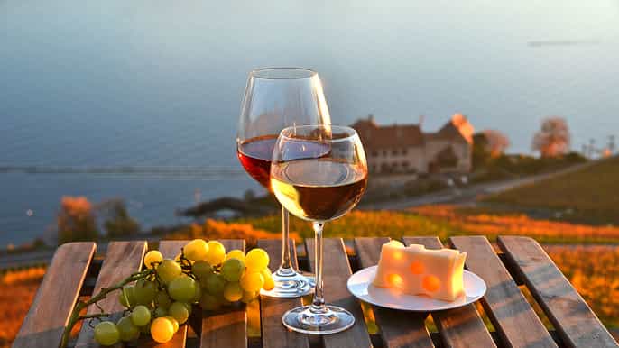 От тура из Женевы до швейцарского винного региона lavaux