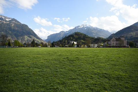 Desde Ginebra: Berna y parapente en Interlaken