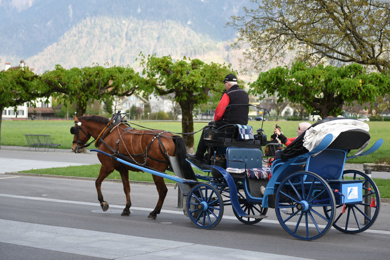 Da Ginevra: Berna e parapendio a Interlaken