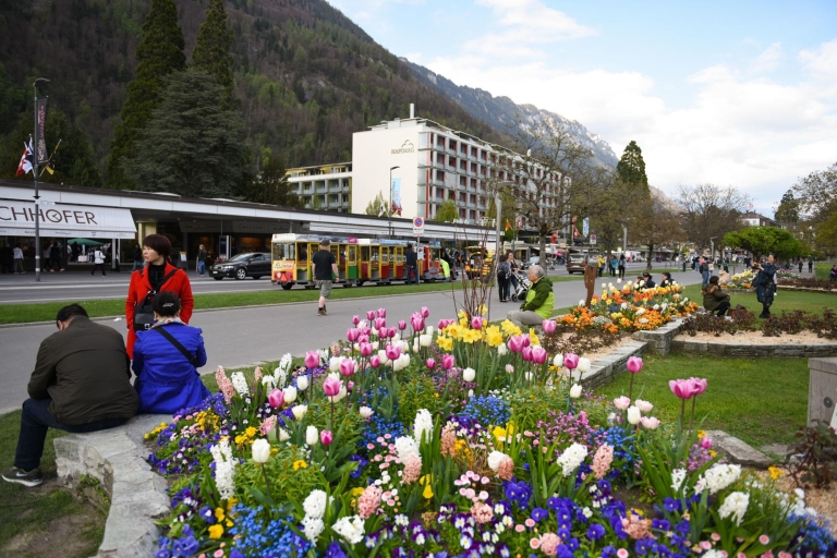 De Genève: Berne et parapente à Interlaken