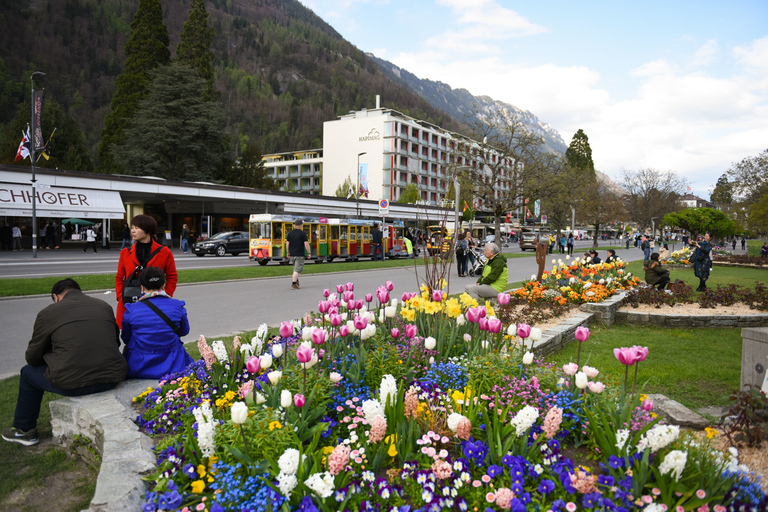 Desde Ginebra: Berna y parapente en Interlaken