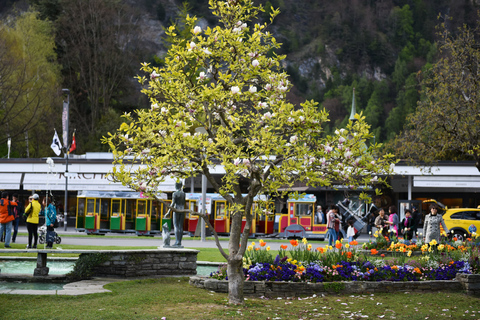 Desde Ginebra: Berna y parapente en Interlaken