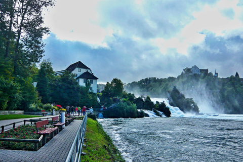 Tour privado: Zúrich a Titisee-Neustadt y cataratas del RinDesde Zúrich: viaje a Titisee-Neustadt y cataratas del Rin