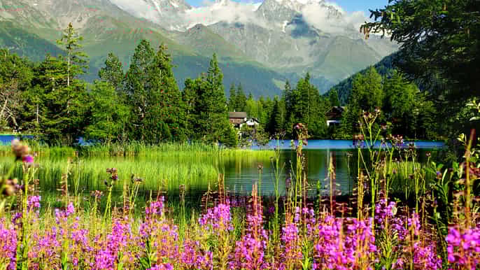 private trip from geneva to chamonix montreux