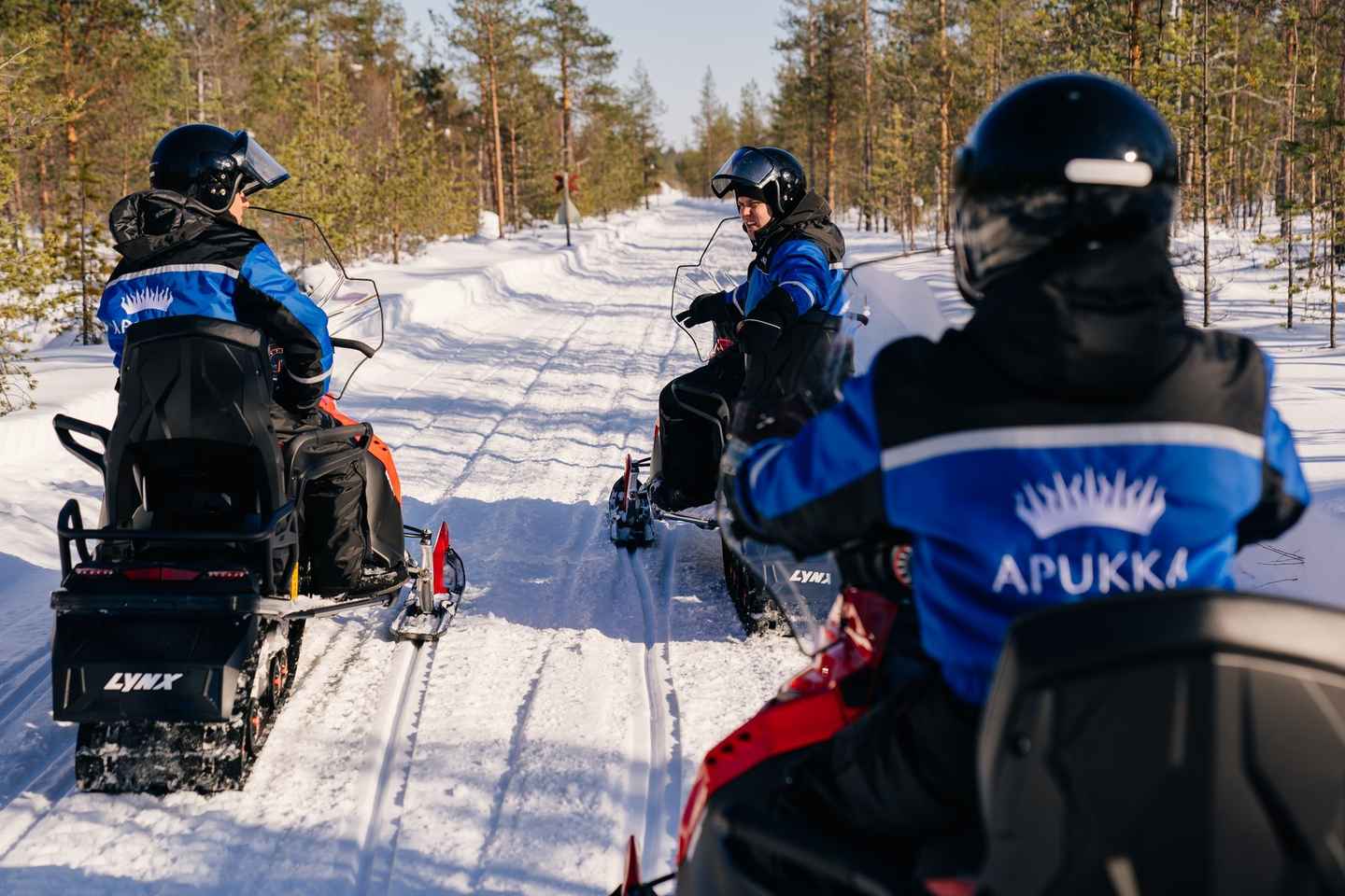 Rovaniemi: Half-Day Snowmobile Tour