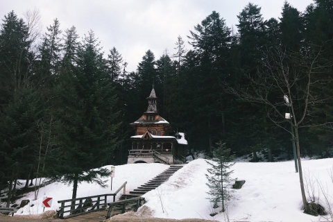 Kraków: Prywatna wycieczka Zakopane w Tatrach