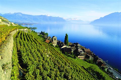 Da Ginevra: Tour della Riviera Svizzera con il Castello di Chillon