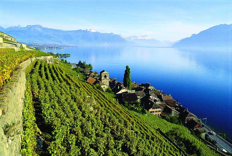 De Ginebra: Tour de Swiss Riviera con Chillon Castle