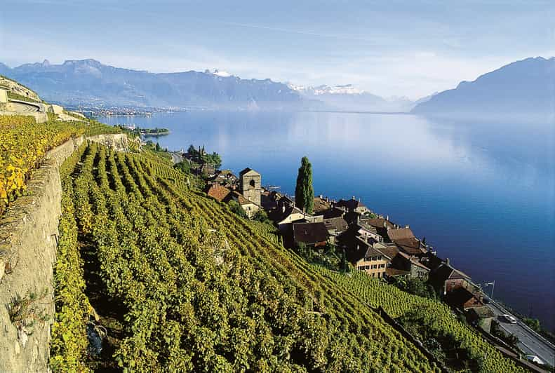 De Ginebra: Tour de Swiss Riviera con Chillon Castle