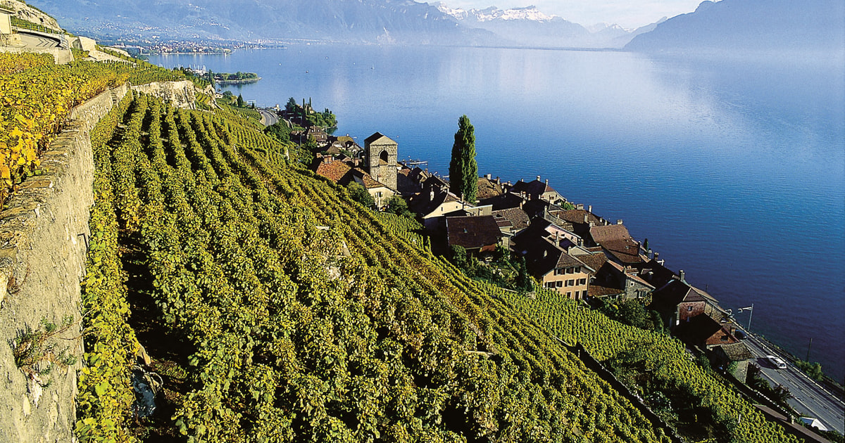 Montreux and Lausanne Swiss Riviera Adventure Itinerary - Day Trips and Outdoor Activities