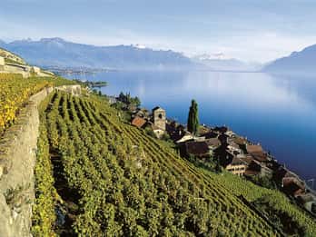 Private Tour at Swiss Riviera from Geneva