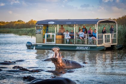Santa Lucía: Crucero con hipopótamos y cocodrilos en un barco de 15 plazas
