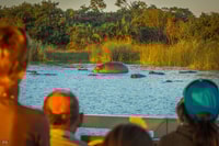 St Lucia, ippopotamo e crociera di coccodrillo su una nave da 15 posti - Housity