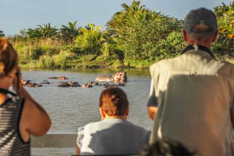 Santa Lúcia: Cruzeiro de hipopótamo e crocodilo em um navio de 15 lugares